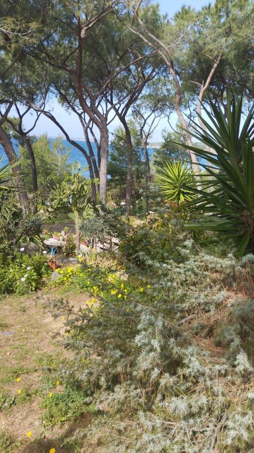Casa Vacanze Cettina Home 3 Mt 50 Dal Mare Terra Mala Extérieur photo